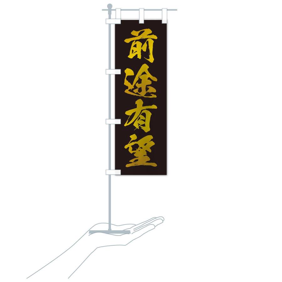 のぼり旗 四字熟語 前途有望 21x9 のぼり旗 グッズプロ 通販 Yahoo ショッピング