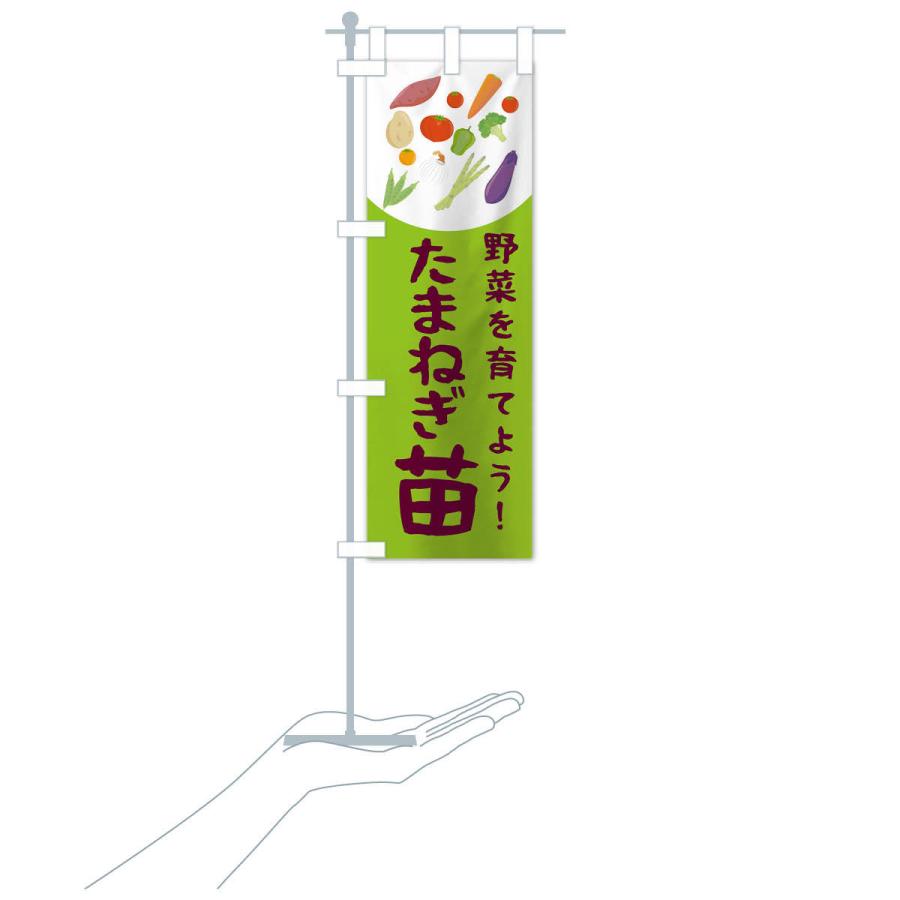 のぼり旗 たまねぎ苗 |  | 16