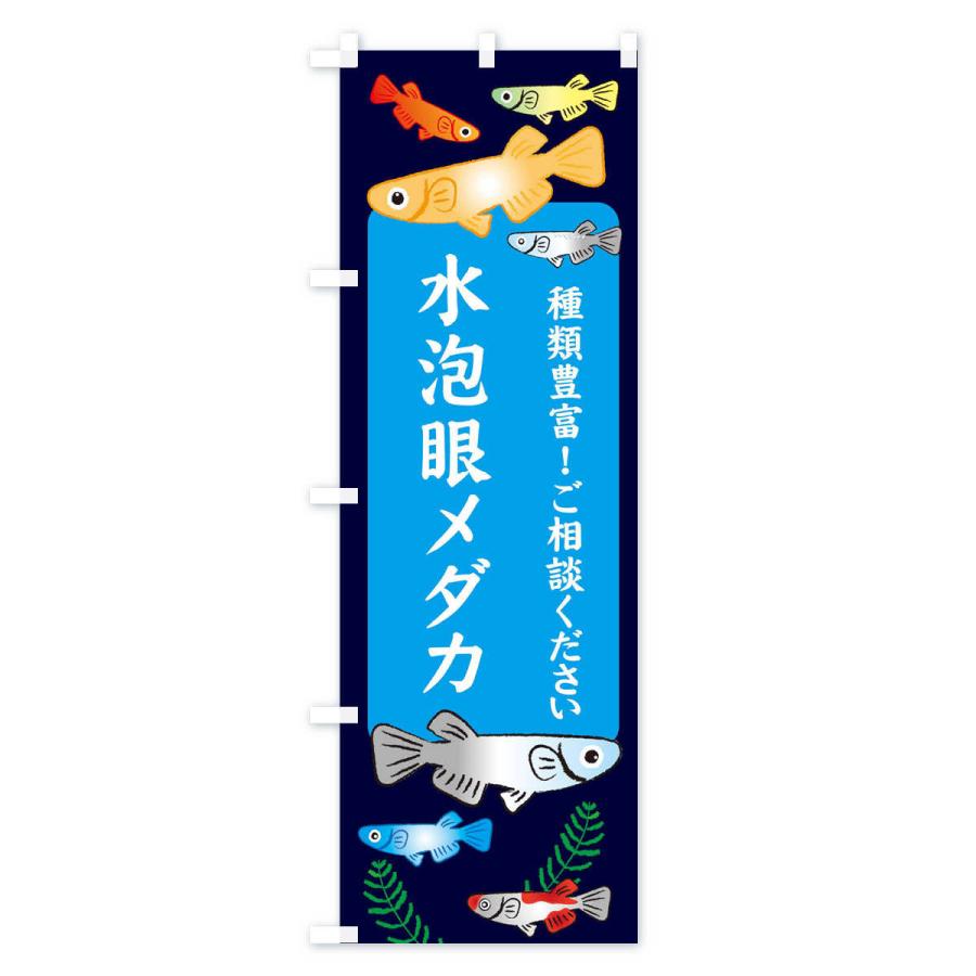 高質で安価 メダカ 水泡眼めだか ヒトミ 稚魚10匹 ヒトミメダカ Shipsctc Org