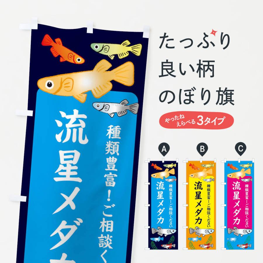 メダカ流星メダカの商品一覧 通販 Yahoo ショッピング
