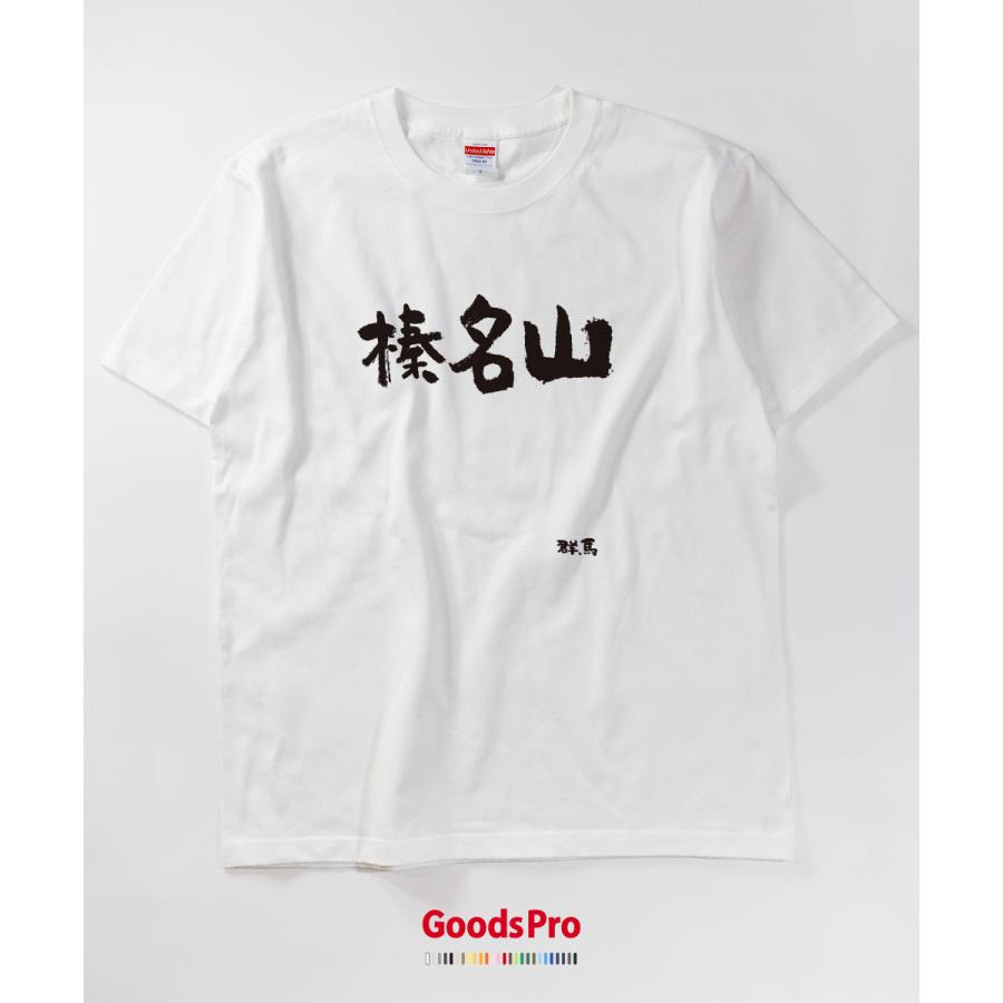 Tシャツ 榛名山・群馬 発汗性の良い快適素材 ドライTシャツ : のぼり旗