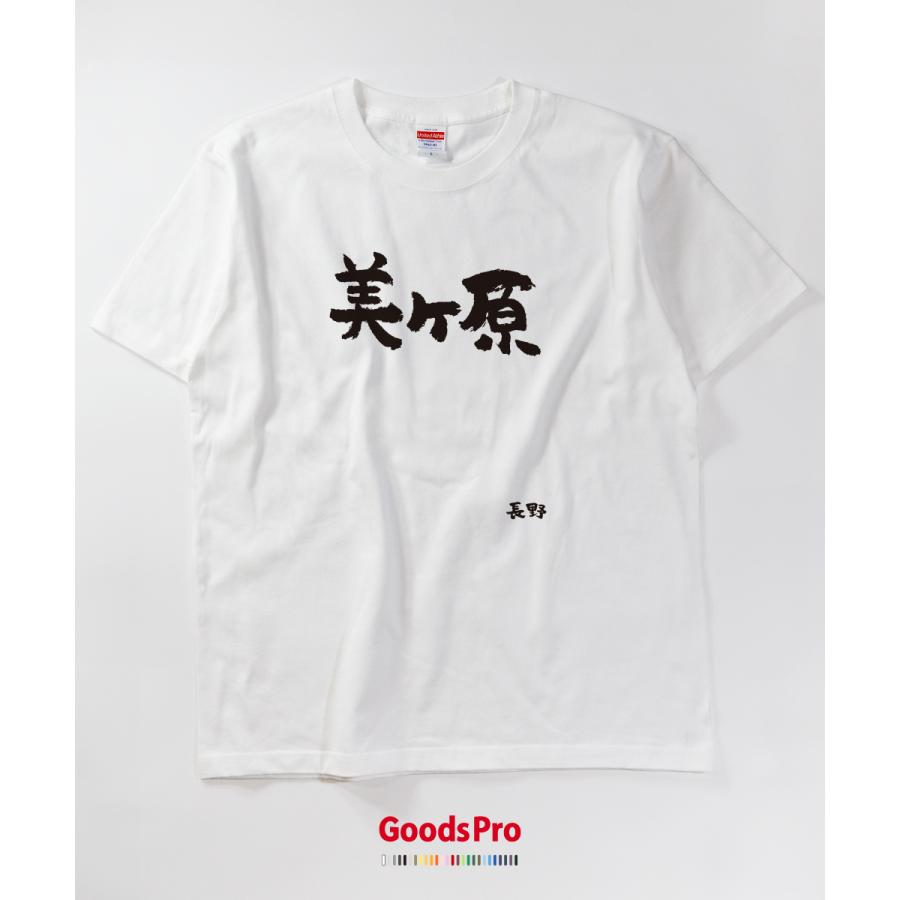 Tシャツ 美ヶ原・長野 発汗性の良い快適素材 ドライTシャツ : のぼり旗
