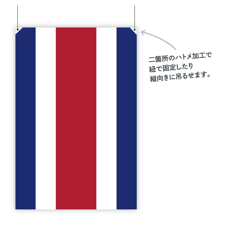 コスタリカ共和国 国旗 W75cm H50cm｜goods-pro｜02