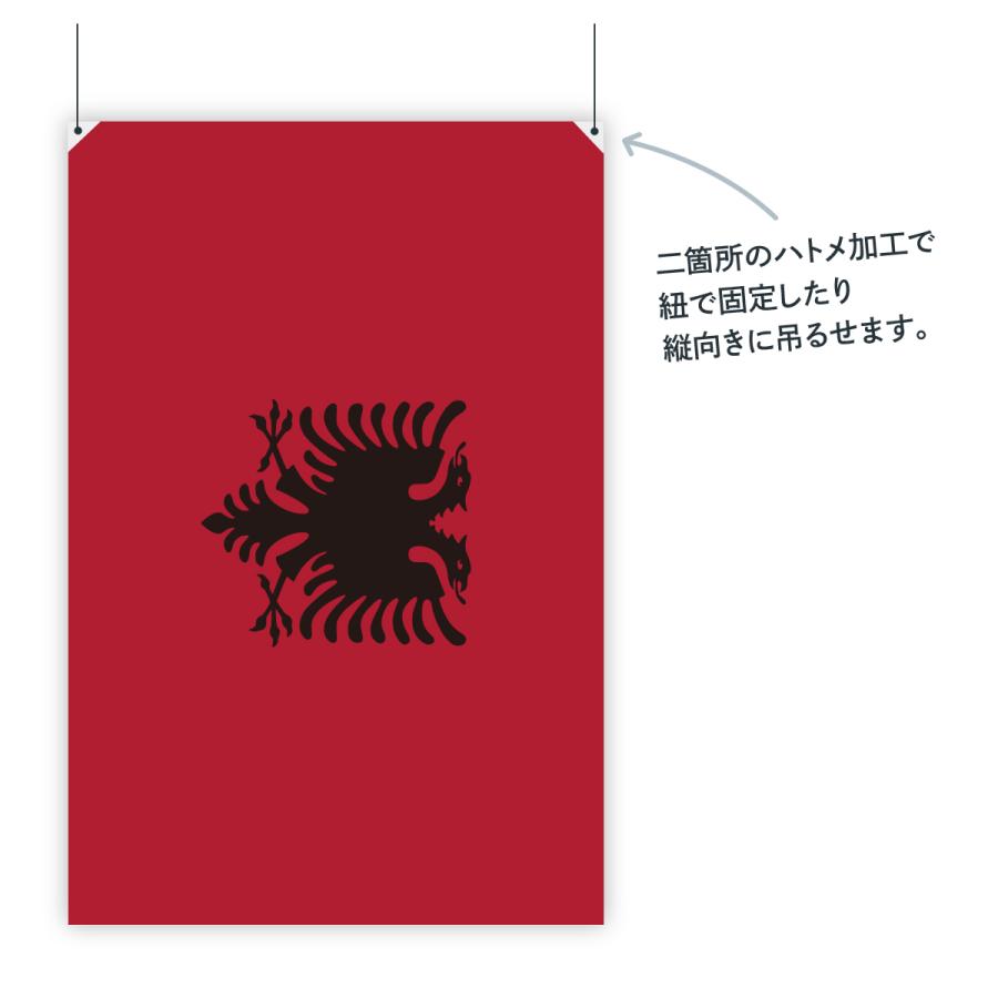 アルバニア共和国 国旗 W75cm H50cm : のぼり旗 グッズプロ - 通販