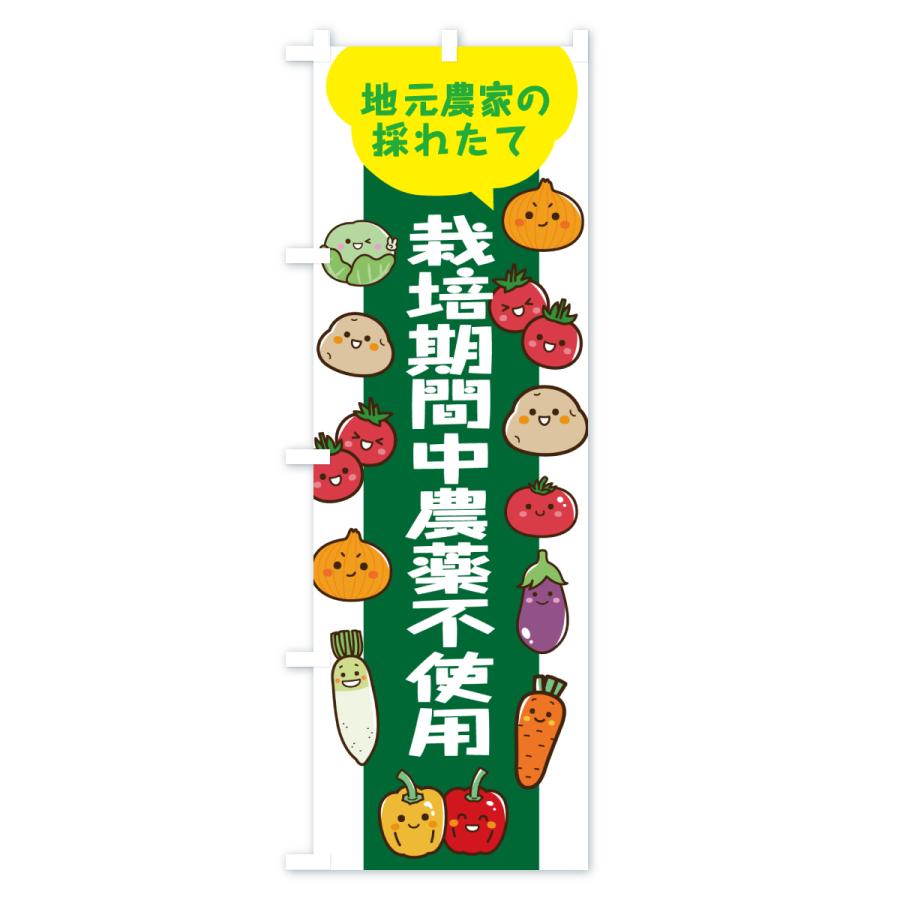 のぼり旗 栽培期間中農薬不使用 |  | 01
