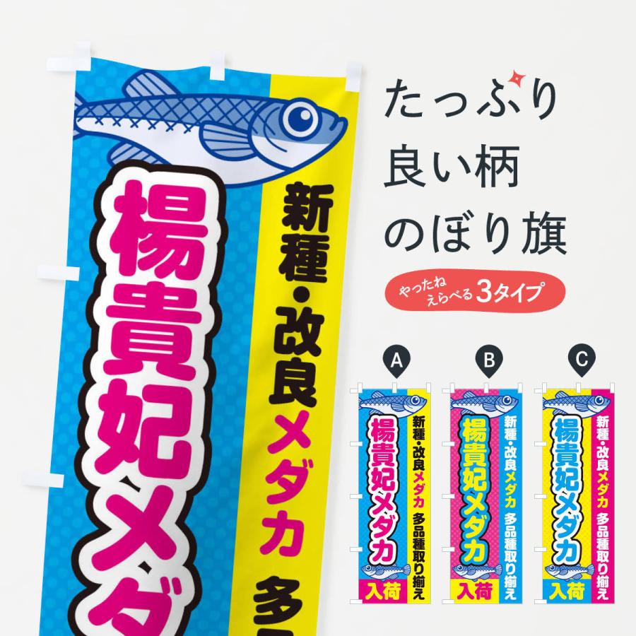 のぼり旗 楊貴妃メダカ／入荷／新種・改良メダカ｜goods-pro