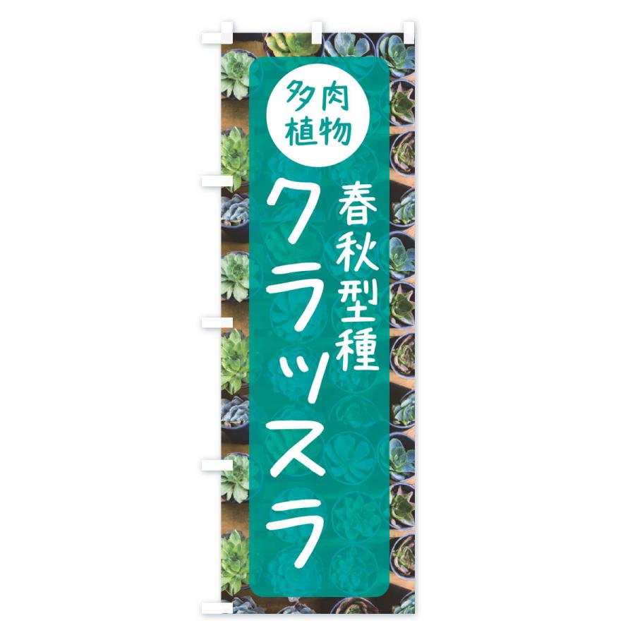 のぼり旗 クラッスラ・春秋型種・多肉植物｜goods-pro｜03