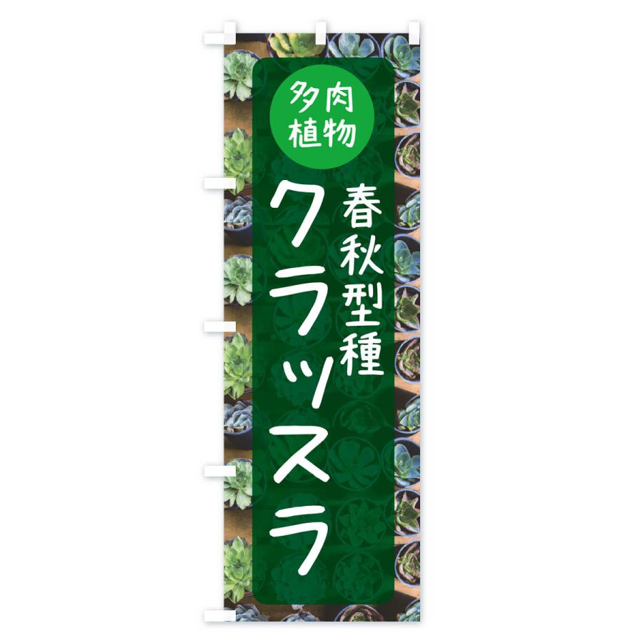 のぼり旗 クラッスラ・春秋型種・多肉植物｜goods-pro｜04