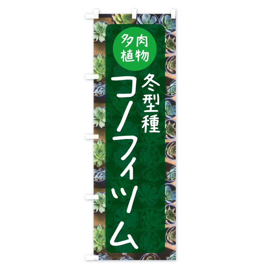 のぼり旗 コノフィツム・冬型種・多肉植物｜goods-pro｜04