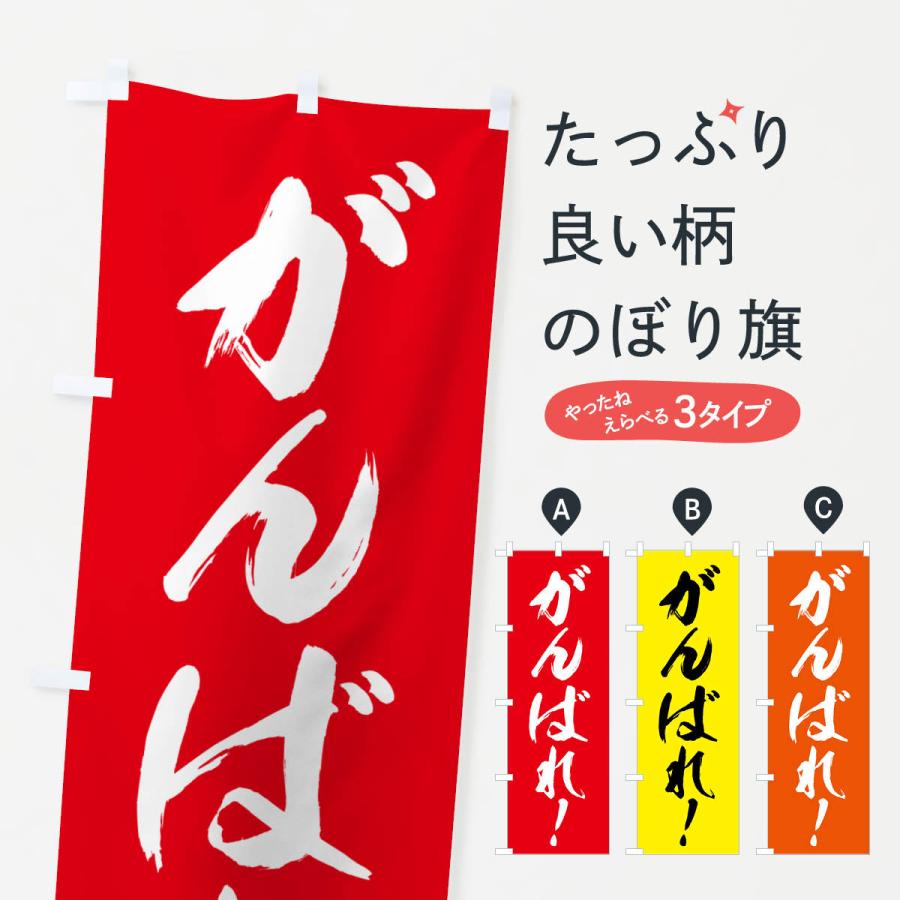 ◇井藤漢方製薬 すっぽんパワー球 120粒 : サンドラッグe-shop