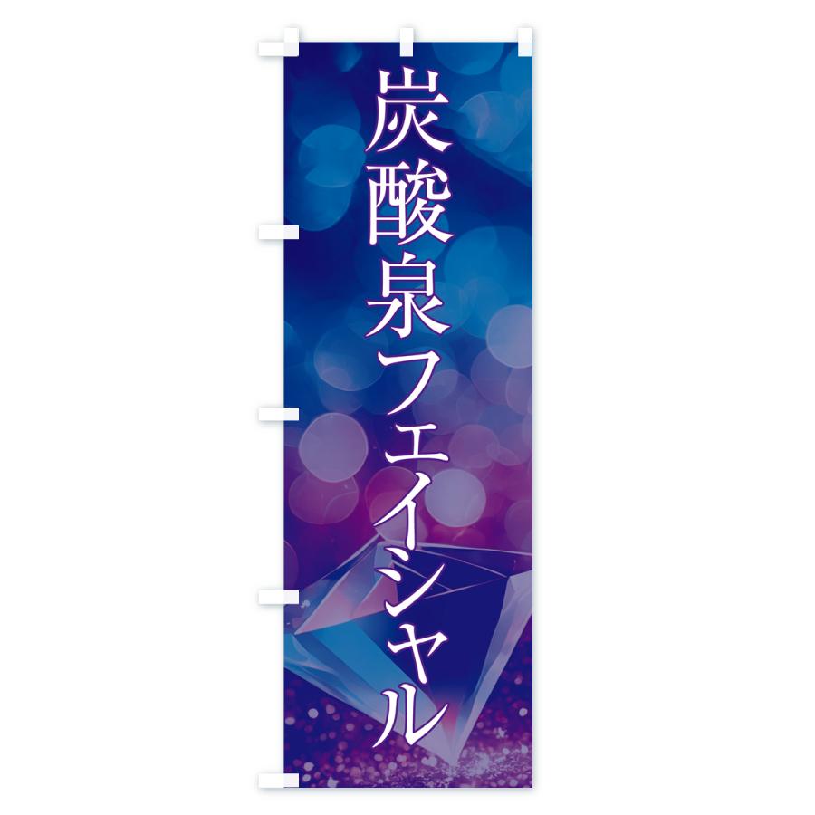 のぼり旗 炭酸泉フェイシャル・美容｜goods-pro｜02