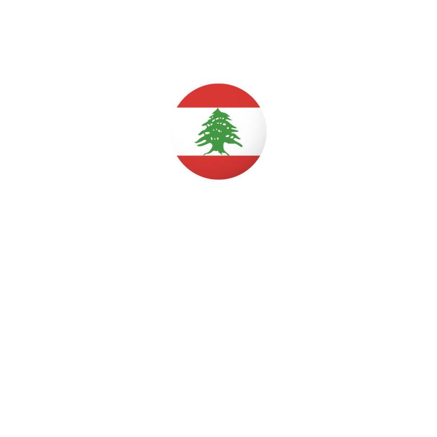 Tシャツ レバノン共和国国旗｜goods-pro｜02