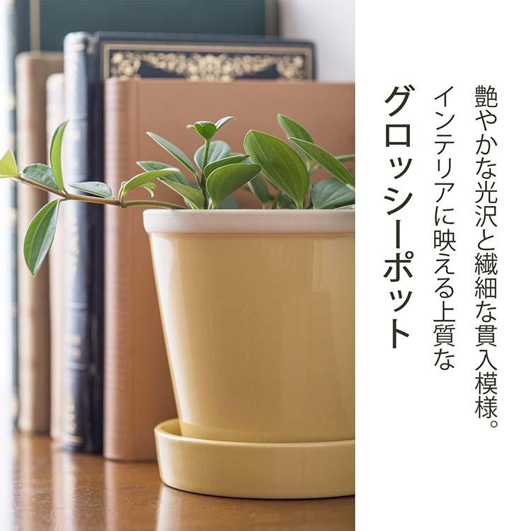 POSH LIVING（ポッシュリビング） 植木鉢 グロッシーポット 約φ10