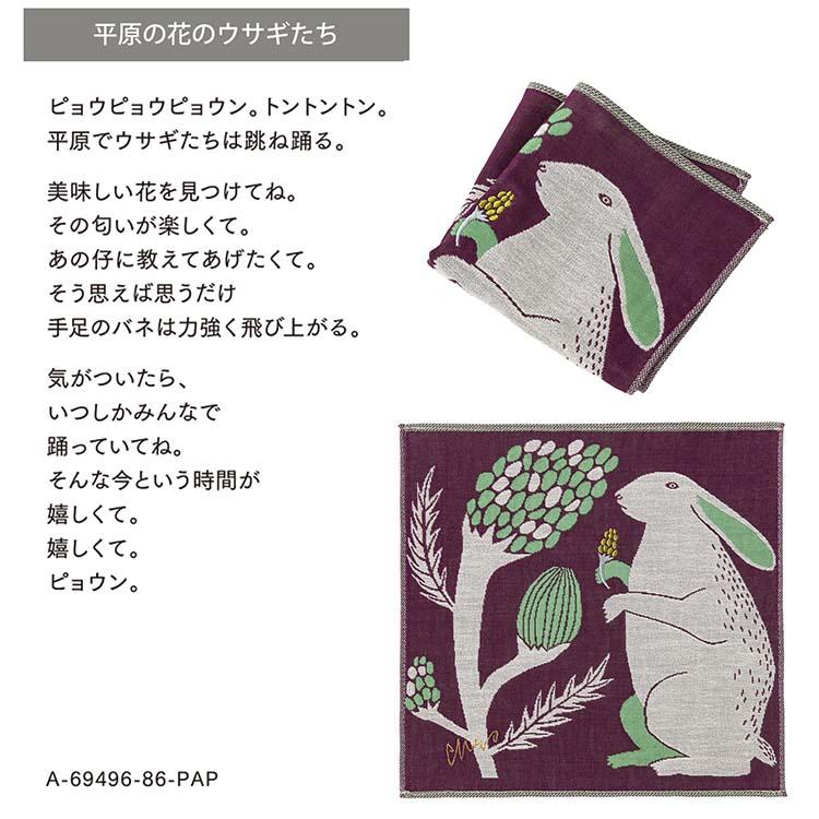 楠橋紋織 ハンカチ moritaMiW 3重ガーゼハンカチ 約25×25cm ワン