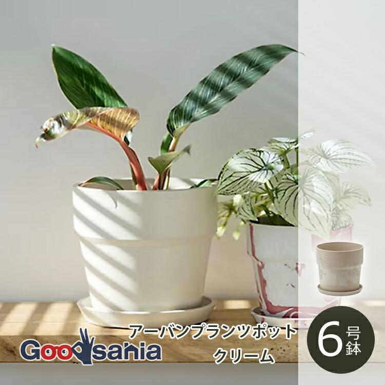 POSH LIVING（ポッシュリビング） 植木鉢 アーバンプランツポット 6号