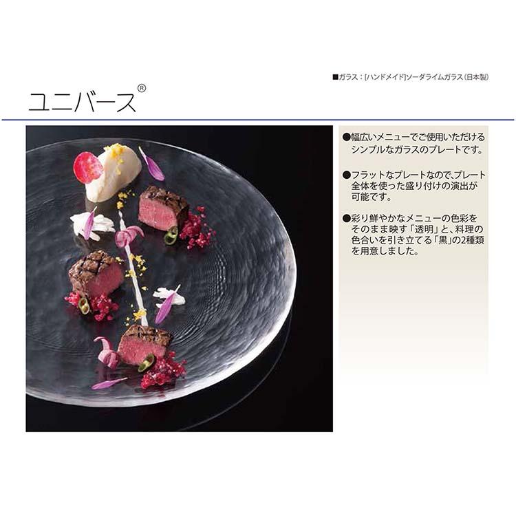東洋佐々木ガラス お皿 ユニバース プレート240 約φ24×H1.4cm 日本製