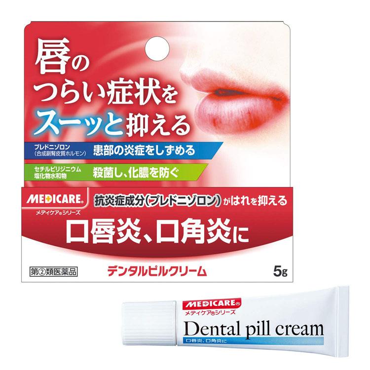 森下仁丹 第(2)類医薬品 デンタルピルクリーム 5g 口唇炎 口角炎治療薬