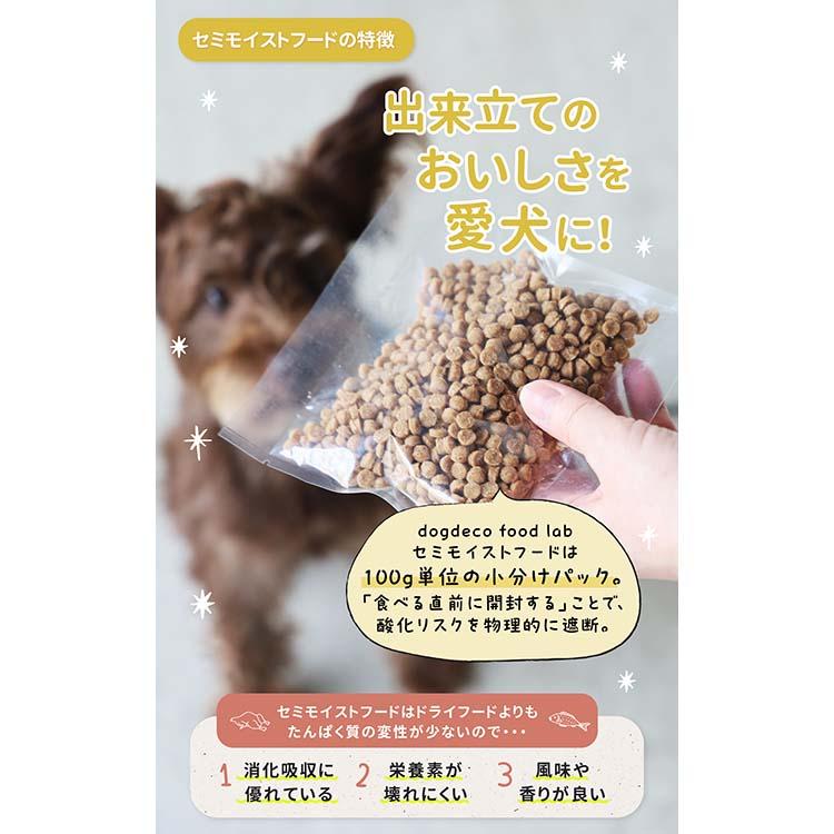 dogdeco food lab 2種類のセミモイストフード お試しパック200g×2点
