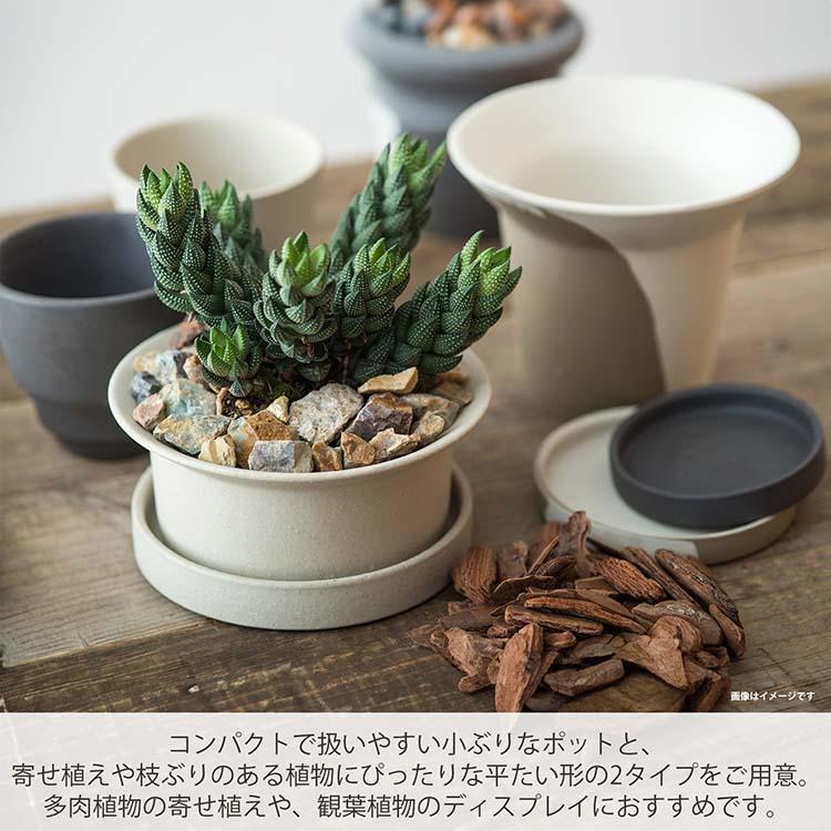 POSH LIVING（ポッシュリビング） 植木鉢 フィーカポット 約φ10×H9.5cm
