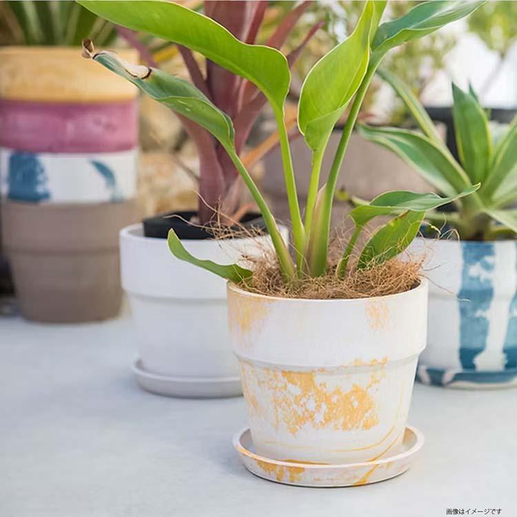 POSH LIVING（ポッシュリビング） 植木鉢 アーバンプランツポット 約