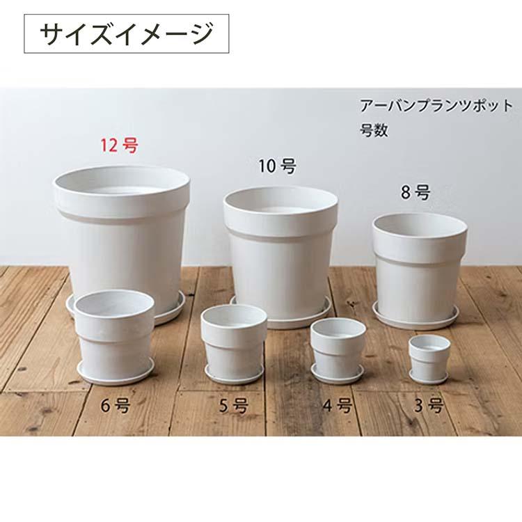 ポッシュリビング 植木鉢 アーバンプランツポット 約φ38×H39.5cm 全6色の画像