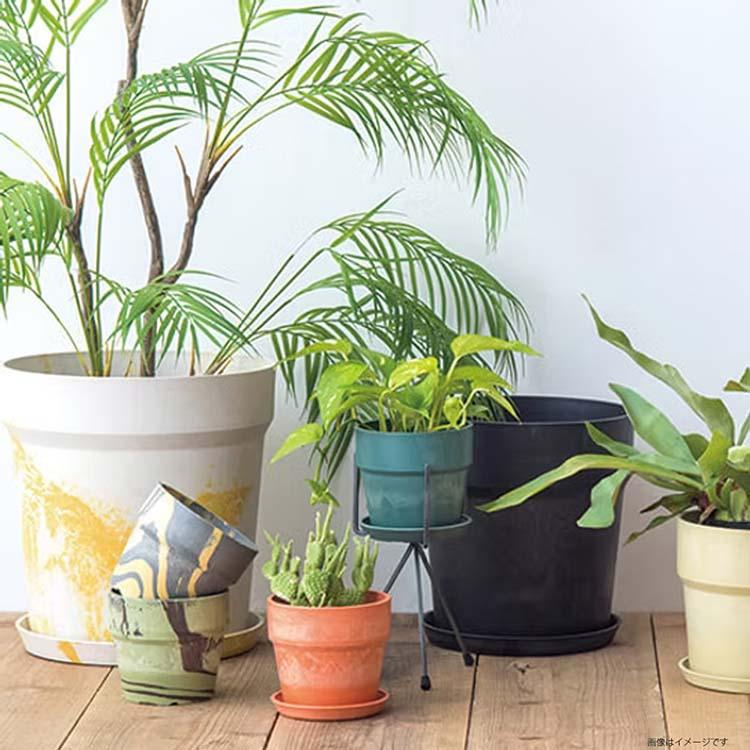 ポッシュリビング 植木鉢 アーバンプランツポット 約φ38×H39.5cm 全6色の画像
