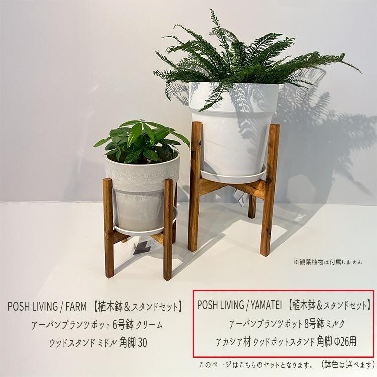 ポッシュリビング POSH LIVING ラダーハンガーＳ サイズ POSH LIVING（ポッシュリビング） POSH LIVING / YAMATEI 【植木鉢
