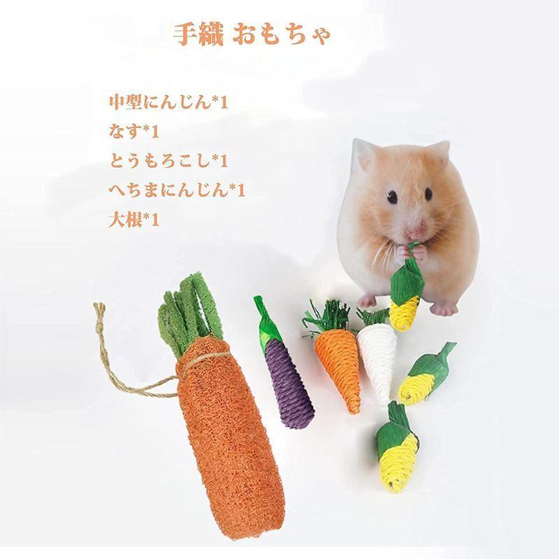 ウサギおもちゃ 噛むおもちゃ 歯磨き ハムスター チンチラ ハリネズミ デグー 小動物用の臼歯のおもちゃ天然素材 5個セット Goodselectshop 通販 Yahoo ショッピング