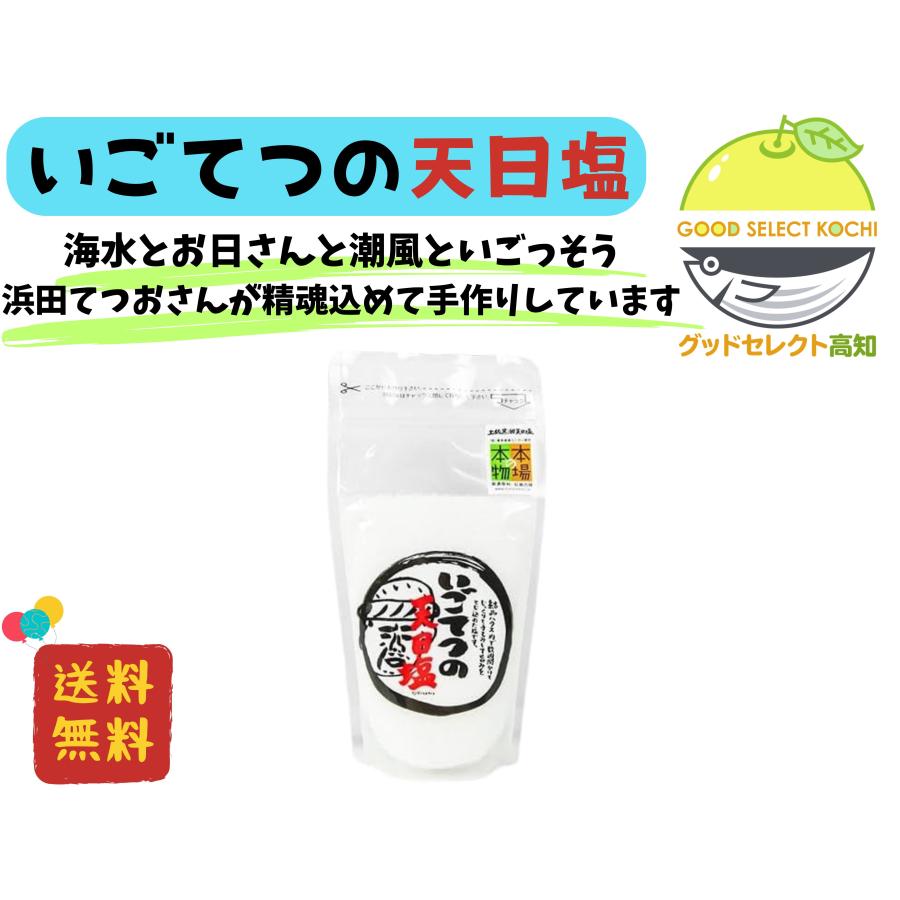 天日塩 高知県産 いごてつの天日塩 160g の商品画像