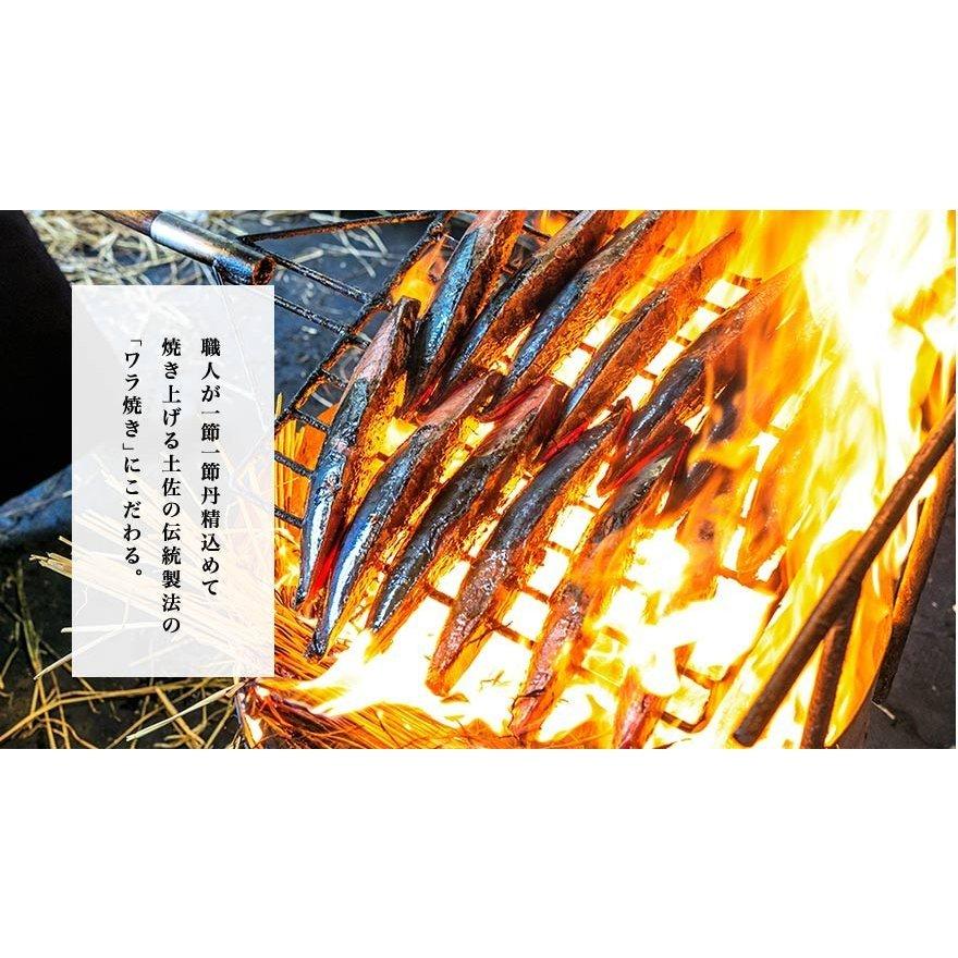 かつお 鰹のたたき 完全ワラ焼き鰹タタキ 龍馬タタキ 300g 2袋 計600g｜goodselectionkochi｜03