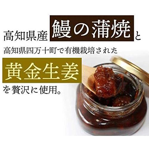 うなぎ生姜 80g ×3個 四万十生産 高知 瓶詰 ご飯のお供 : グッド
