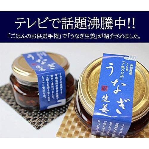 うなぎ生姜 80g ×3個 四万十生産 高知 瓶詰 ご飯のお供 : グッド