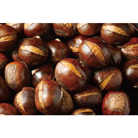 甘栗 樹上完熟 福栗 100g×2パック入り : グッドセレクト高知 - 通販