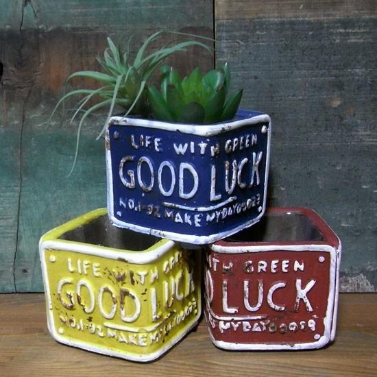 ☆ 1/64 Cocodake Plate ⑤　　　　　　【数量限定】 ☆ 1/64 Cocodake Plate