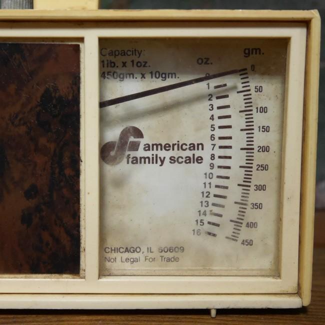 ヴィンテージ スケール アンティーク アメリカン ファミリースケール