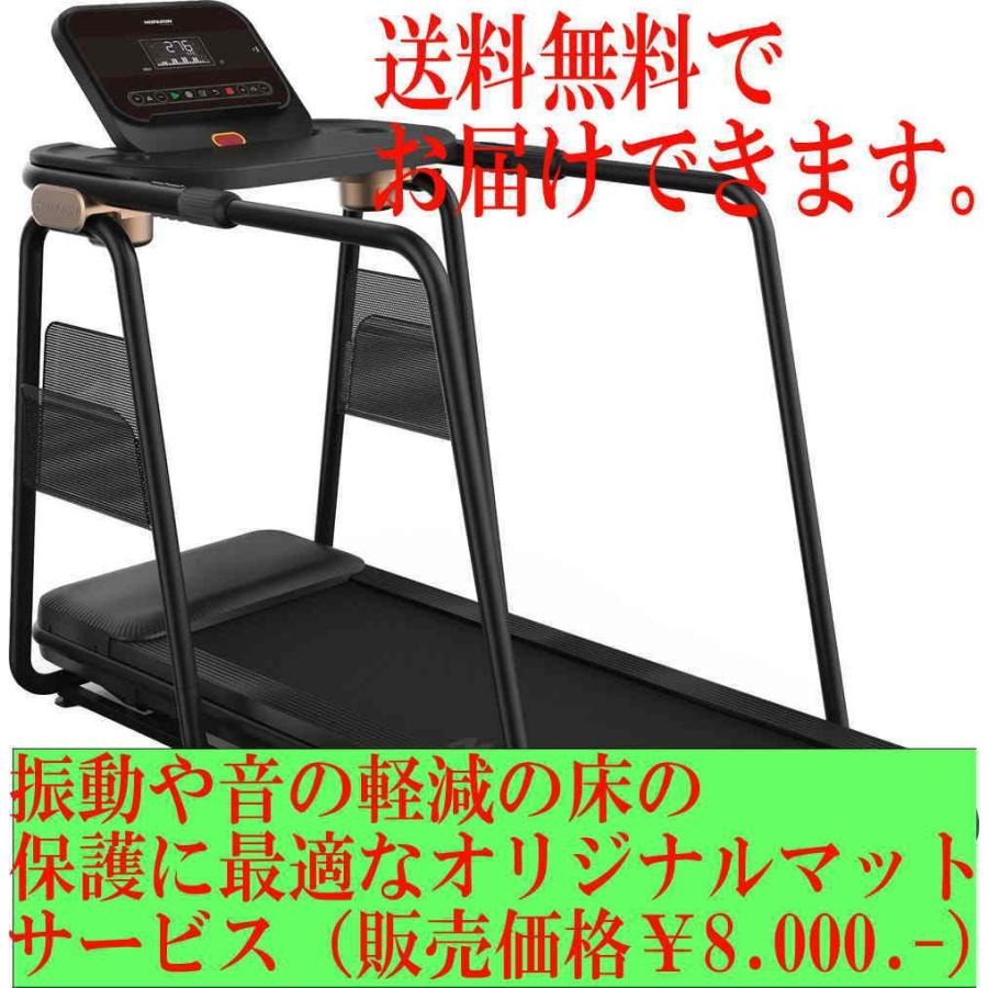 お値下げ ホライズン【ＨＯＲＩＺＯＮ】CITTA TT5.0(チッタティーティー５．０）オリジナルフロアマットサービス 【PET2549128769】(89936円)