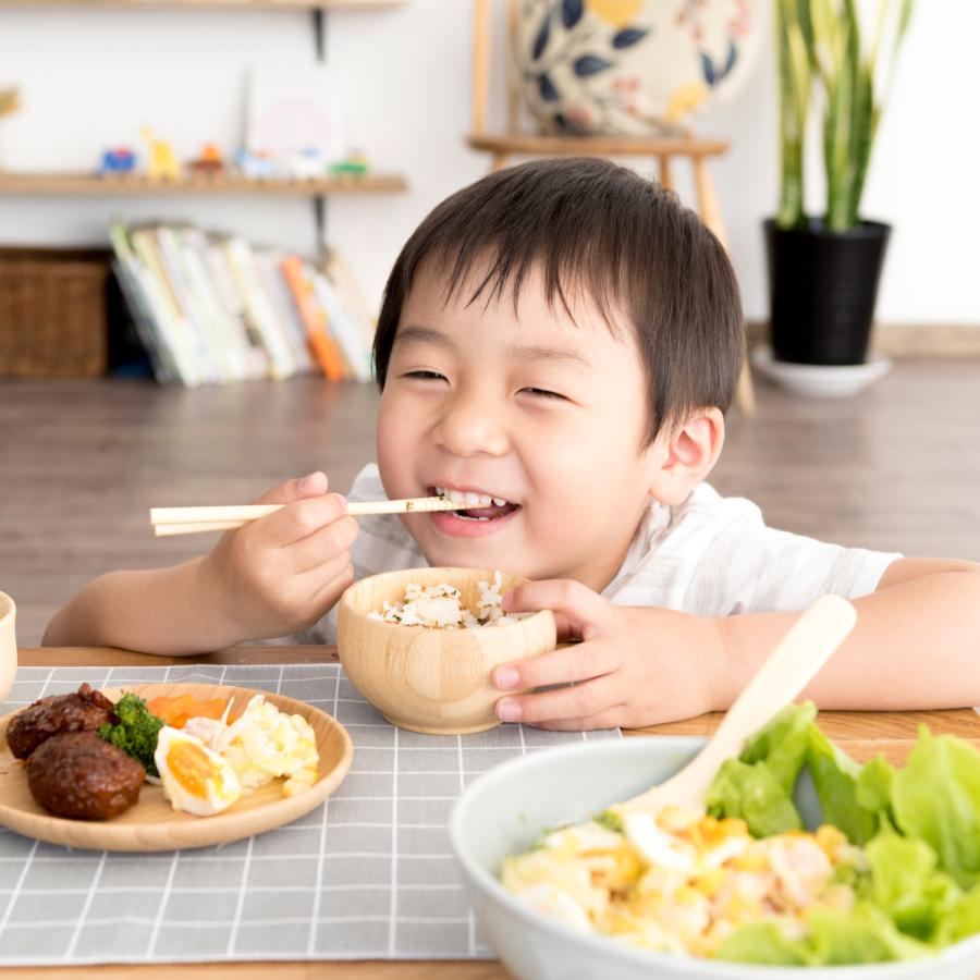 agney アグニー お食い初め 食器セット みやび 6点セット 男の子