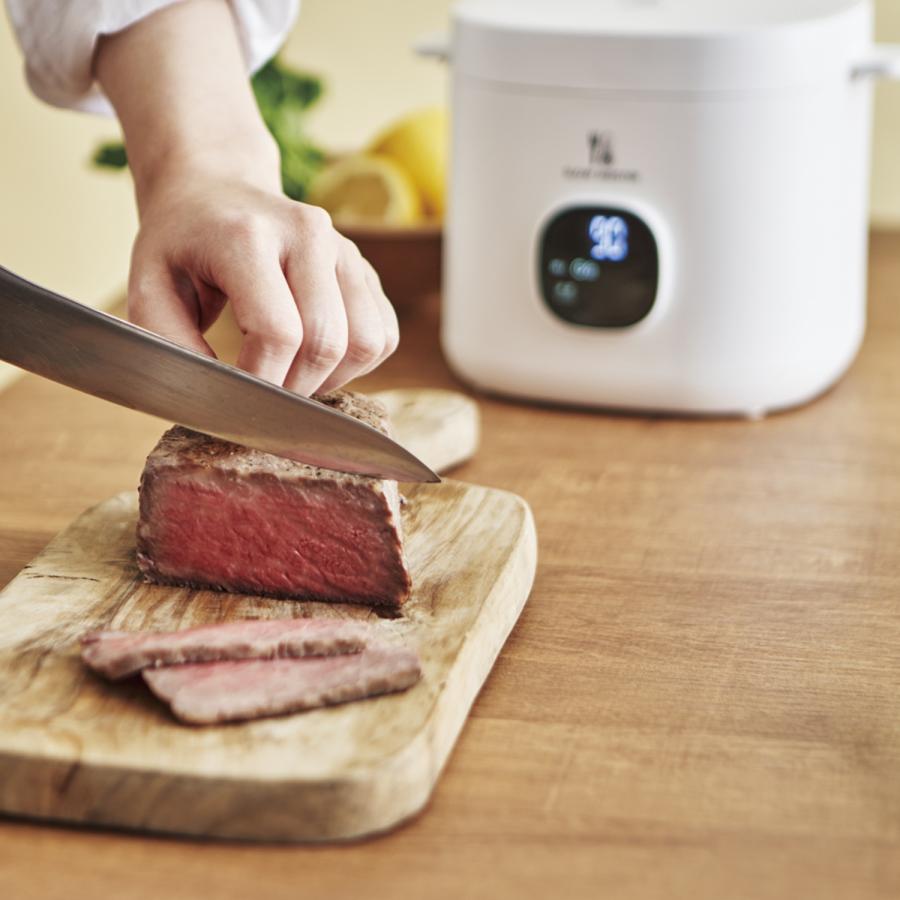 APIX INTERNATIONAL（アピックス インターナショナル） APIX INTL 低温