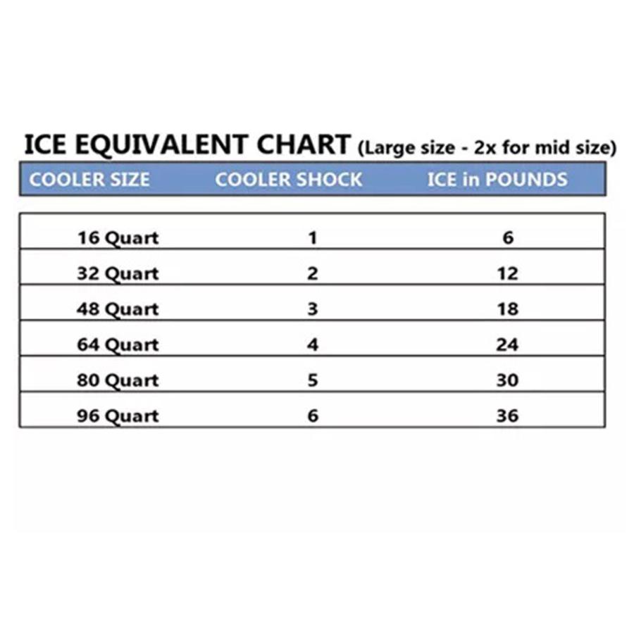 cooler shock クーラーショック 保冷剤 Sサイズ 5個セット 長時間 ジェル アイスパック 保冷パック 氷点下 長持ち 7CSSSET | COOLER SHOCK | 09