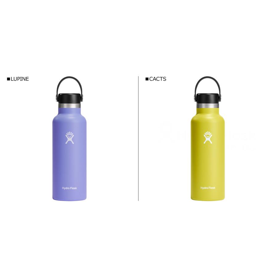 Hydro Flask ハイドロフラスク 18oz ハイドレーション スタンダードマウス 532ml ステンレスボトル マグボトル 水筒 魔法瓶 5089013 母の日｜goodslabo｜24