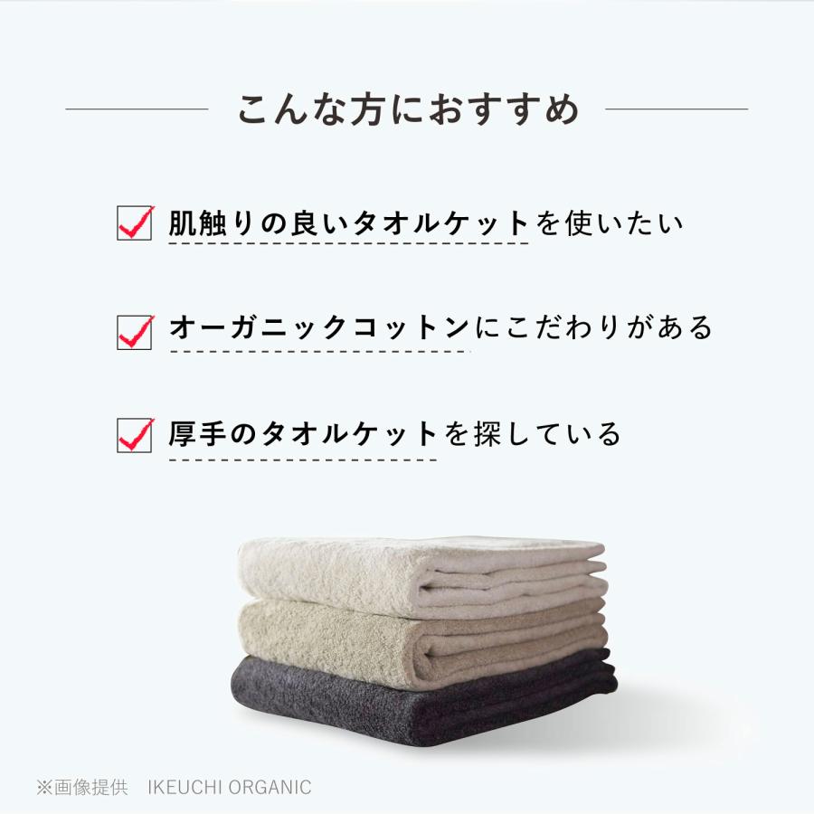 IKEUCHI ORGANIC イケウチオーガニック タオルケット シングル