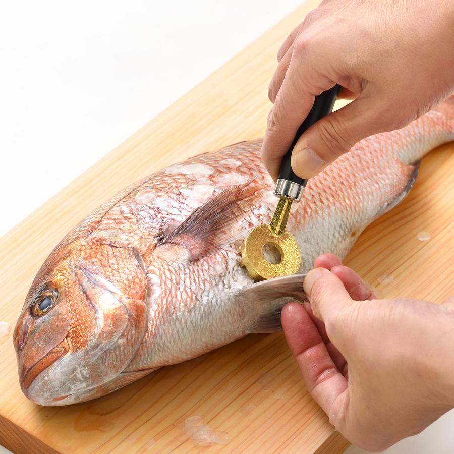 大人の焼魚 鱗とり うろこ取り ウロコ 日本製 ブラック 黒 OTS8013 : Goods Lab Plus - 通販 - Yahoo!ショッピング