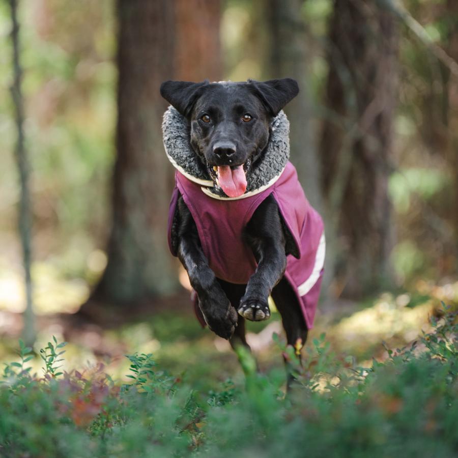 Pomppa ポムッパ ドッグウェア ドッグコート ドッグジャケット 犬用 耐久 防水 防風 保温 TOPPA POMPPA グレー グリーン パープル_13