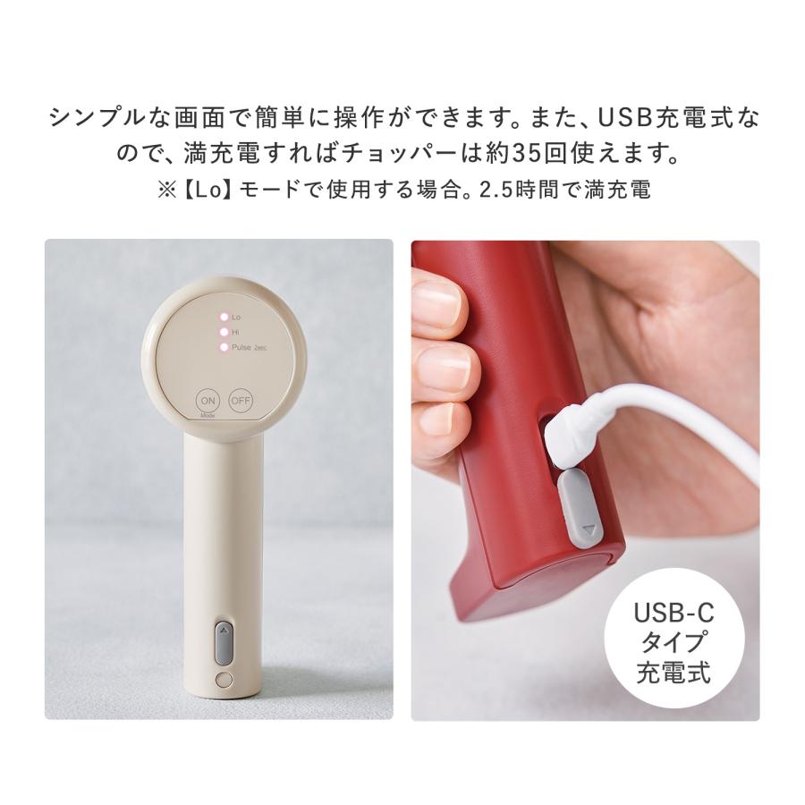 recolte（レコルト） ハンドミキサー ホイッパー 電動 フード