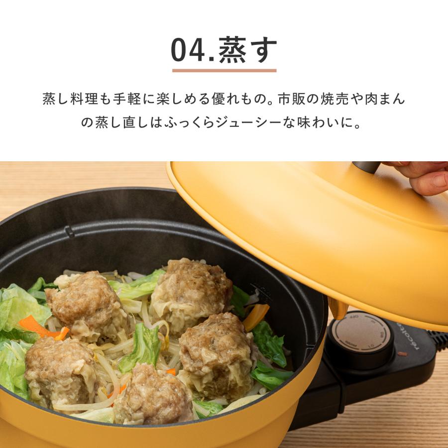 recolte（レコルト） コポット 電気鍋 電気なべ 煮込み ブラック