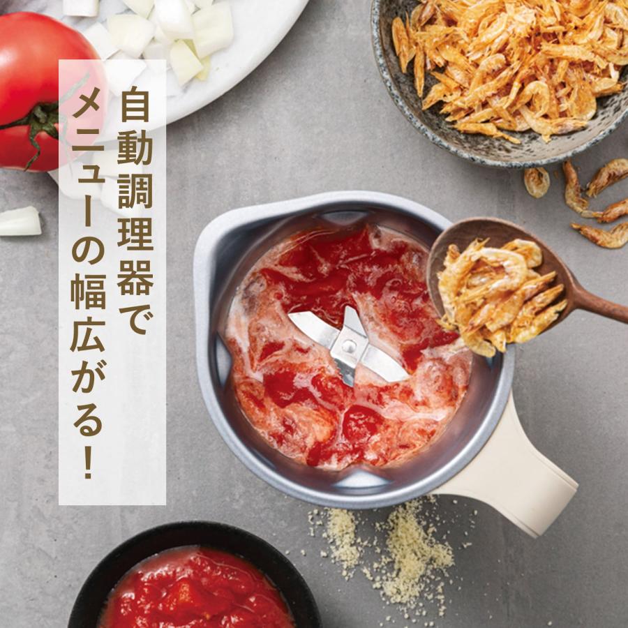 recolte 特典付き レコルト ミキサー ブレンダー 自動調理ポット