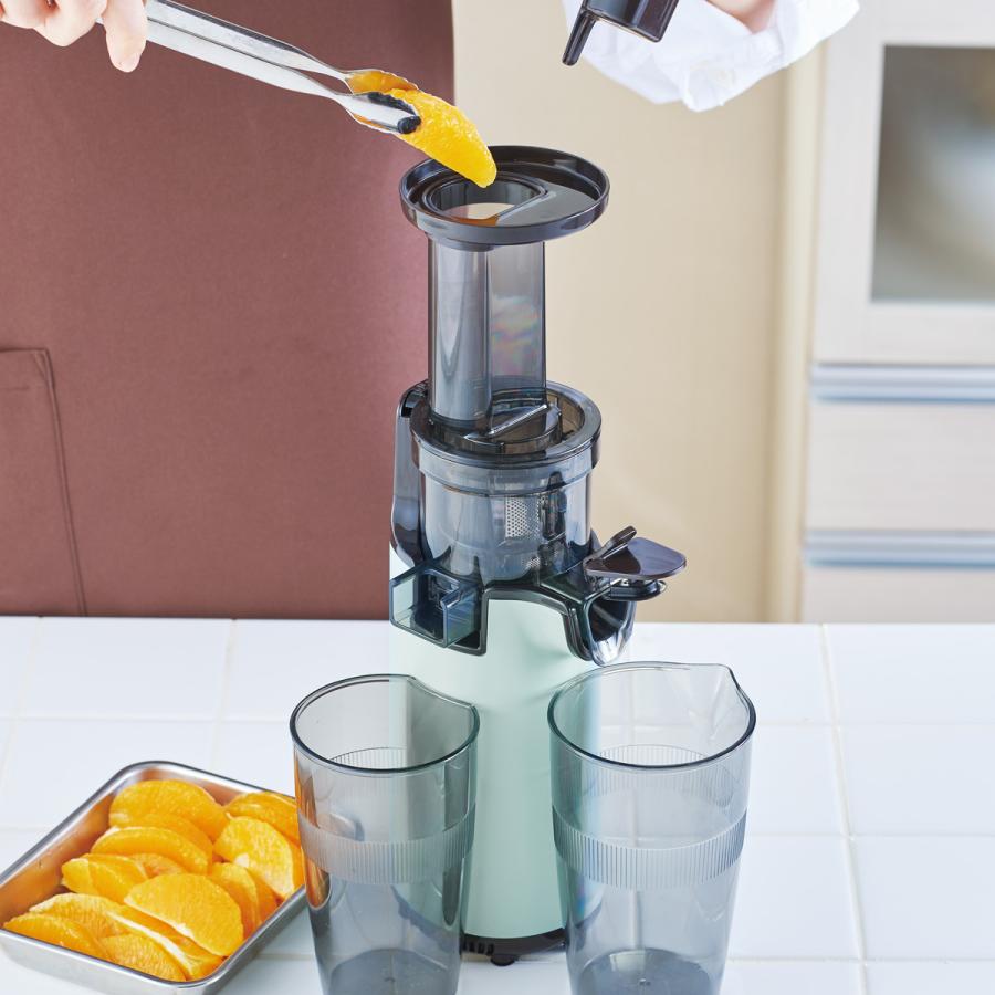 LADONNA MINI SLOW JUICER コンパクト Toffy 特典付き トフィー ジューサー スロージューサー ミニ ミキサー