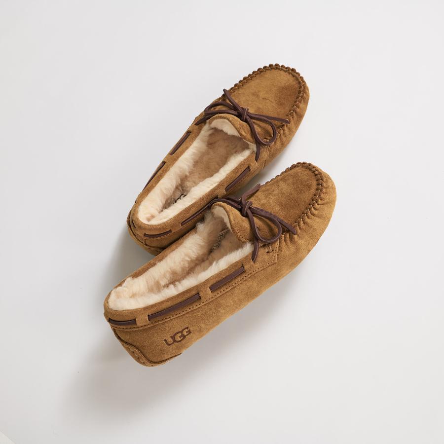 UGG アグ スリッポン ダコタ レディース DAKOTA ブラック グレー ブラウン 黒 1107949