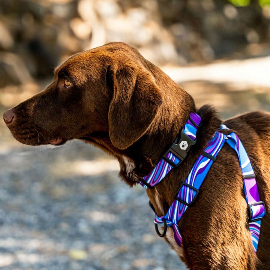 ウルフギャング WOLFGANG ハーネス 犬用品 大型犬 Lサイズ HARNESS マン\u0026ビースト MAN\u0026BEAST_17