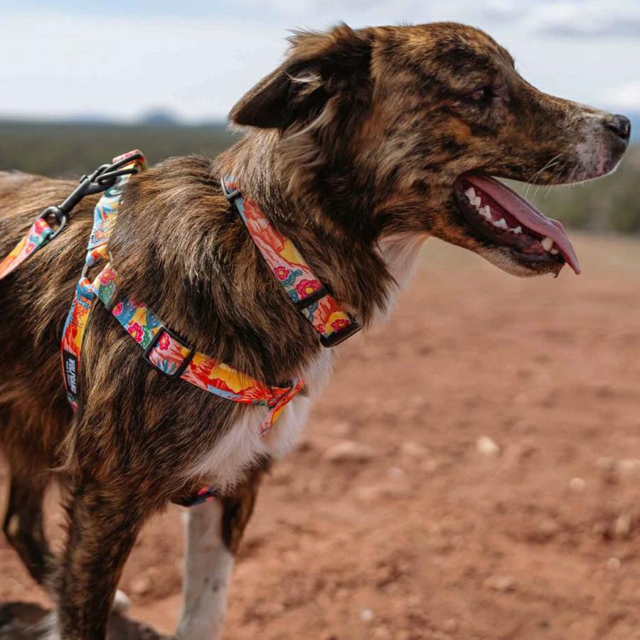 WOLFGANG MAN & BEAST ウルフギャング WOLFGANG ハーネス 犬用品 中型